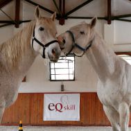 EAHAE Train The Trainer 